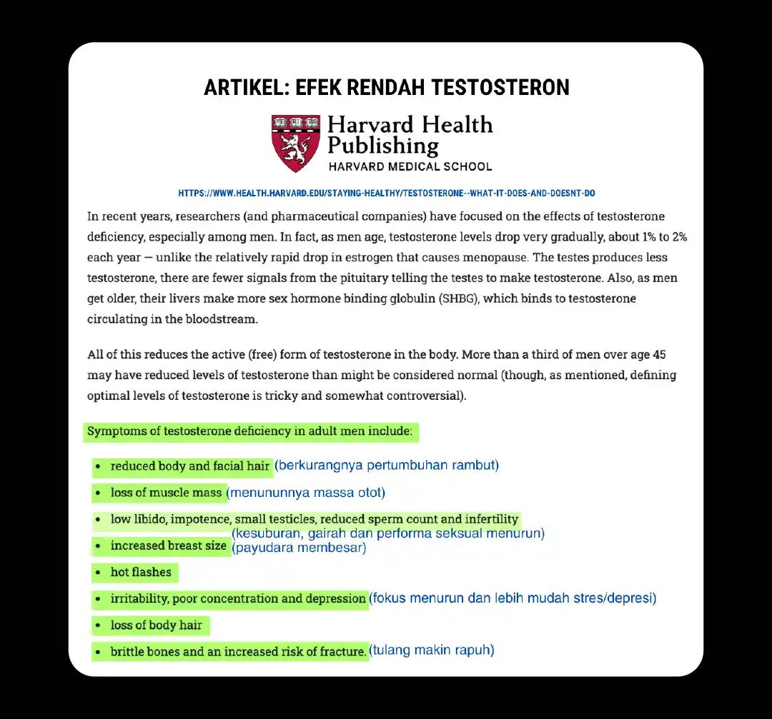 website 4.0 erojan-03