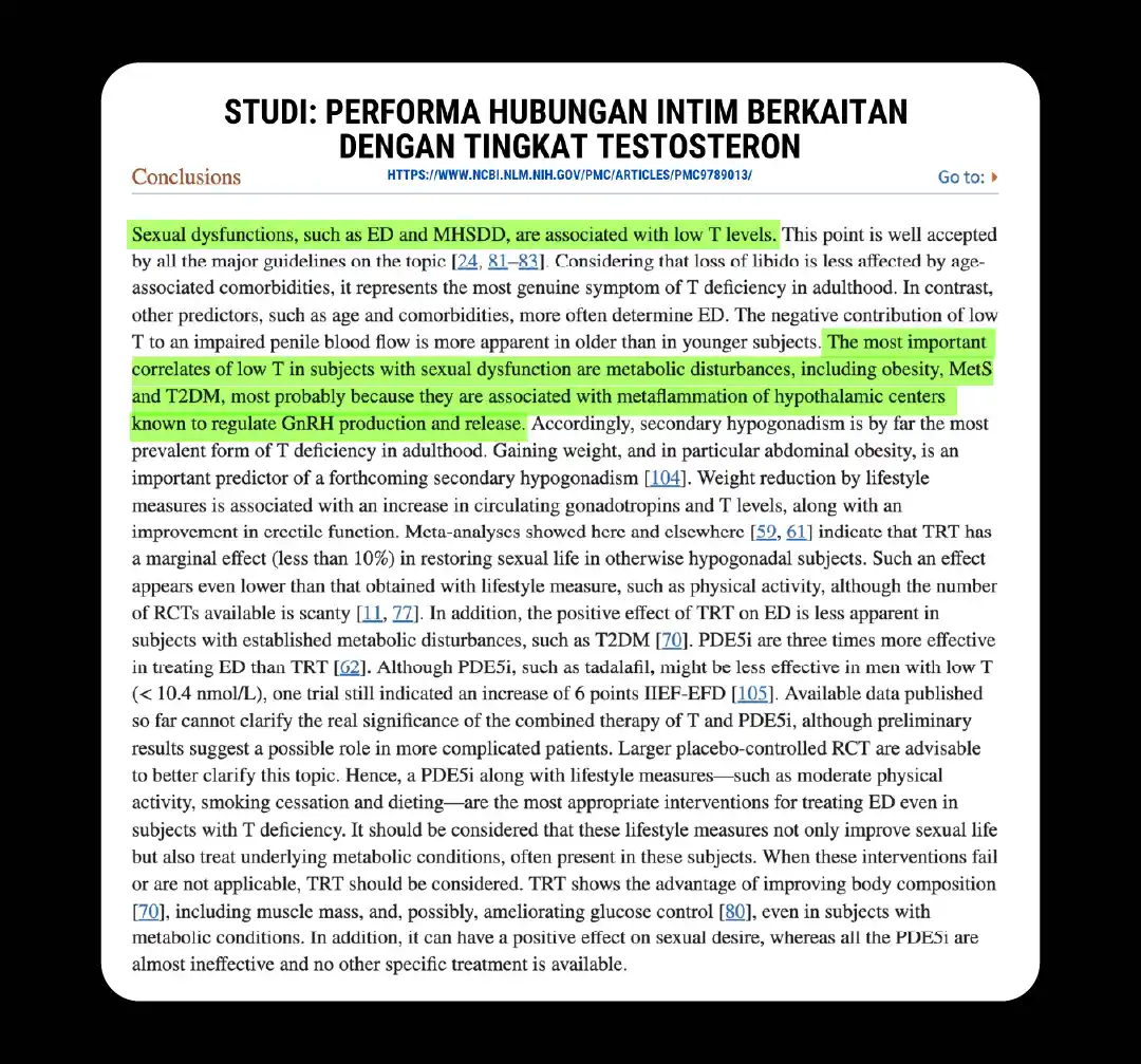 website 4.0 erojan-04