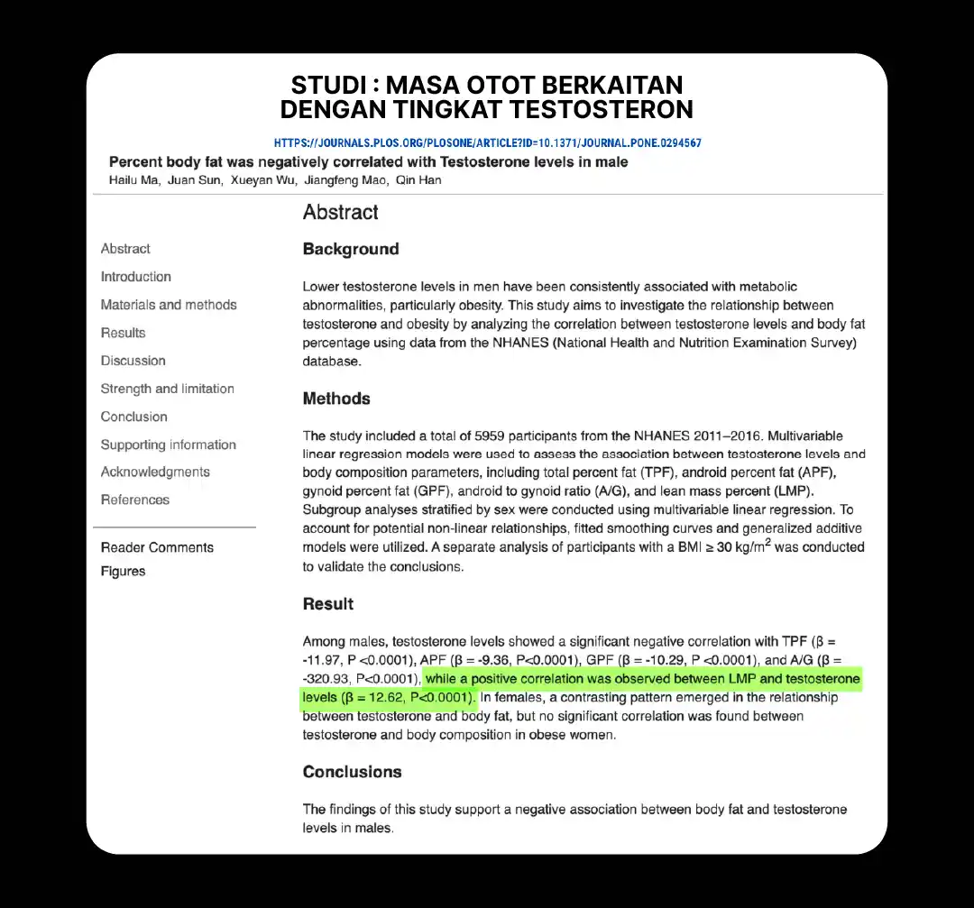 website 4.0 erojan-05